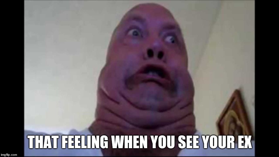 Ugly Face | THAT FEELING WHEN YOU SEE YOUR EX | image tagged in ugly face | made w/ Imgflip meme maker