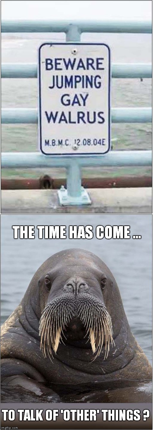 The Time Has Come ... | THE TIME HAS COME ... TO TALK OF 'OTHER' THINGS ? | image tagged in fun,walrus | made w/ Imgflip meme maker