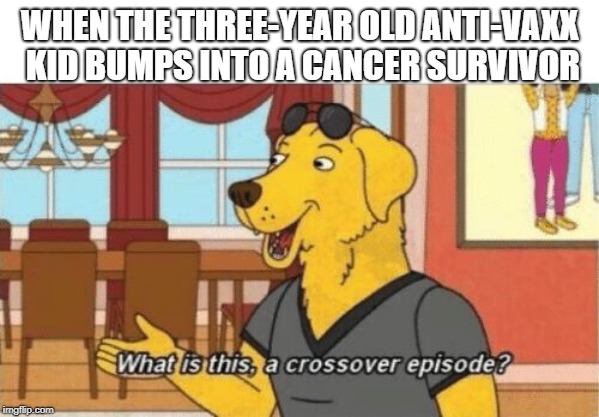 Anti vaxx meme crossover episode | WHEN THE THREE-YEAR OLD ANTI-VAXX KID BUMPS INTO A CANCER SURVIVOR | image tagged in crossover dog | made w/ Imgflip meme maker