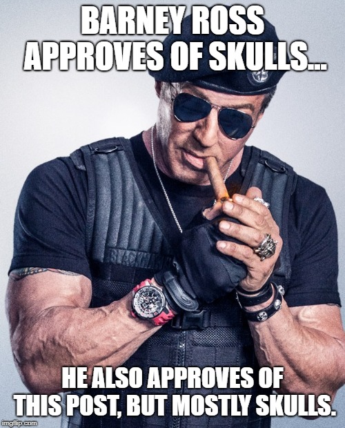 Barney Ross approves of skulls | BARNEY ROSS APPROVES OF SKULLS... HE ALSO APPROVES OF THIS POST, BUT MOSTLY SKULLS. | image tagged in barney ross,skulls,expendables,the expendables | made w/ Imgflip meme maker