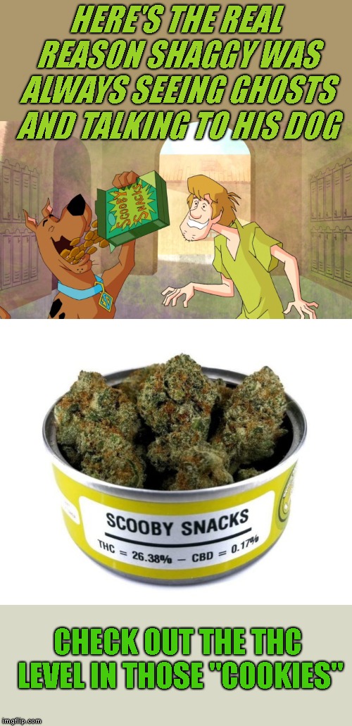Rut Ro Raggy !  Doggo Week March 10-16 a Blaze_the_Blaziken and 1forpeace Event | HERE'S THE REAL REASON SHAGGY WAS ALWAYS SEEING GHOSTS AND TALKING TO HIS DOG; CHECK OUT THE THC LEVEL IN THOSE "COOKIES" | image tagged in doggo week,shaggy,scooby doo,scooby snacks are pot | made w/ Imgflip meme maker