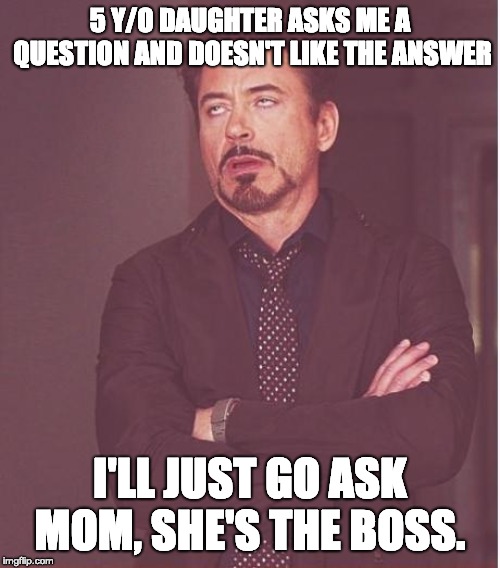 Face You Make Robert Downey Jr Meme | 5 Y/O DAUGHTER ASKS ME A QUESTION AND DOESN'T LIKE THE ANSWER; I'LL JUST GO ASK MOM, SHE'S THE BOSS. | image tagged in memes,face you make robert downey jr,AdviceAnimals | made w/ Imgflip meme maker
