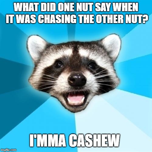 Lame Pun Coon | WHAT DID ONE NUT SAY WHEN IT WAS CHASING THE OTHER NUT? I'MMA CASHEW | image tagged in memes,lame pun coon | made w/ Imgflip meme maker