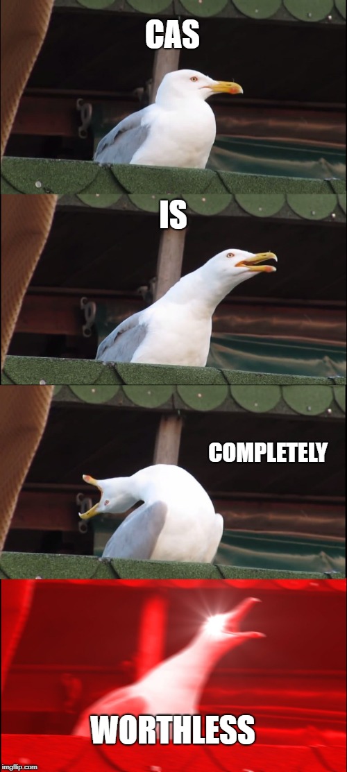 Inhaling Seagull | CAS; IS; COMPLETELY; WORTHLESS | image tagged in memes,inhaling seagull,cas,iblife | made w/ Imgflip meme maker