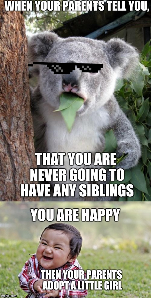 WHEN YOUR PARENTS TELL YOU, THAT YOU ARE NEVER GOING TO HAVE ANY SIBLINGS; YOU ARE HAPPY; THEN YOUR PARENTS ADOPT A LITTLE GIRL | image tagged in memes,surprised koala | made w/ Imgflip meme maker
