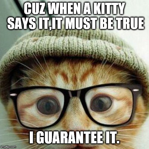 SMART KITTY | CUZ WHEN A KITTY SAYS IT,IT MUST BE TRUE I GUARANTEE IT. | image tagged in smart kitty | made w/ Imgflip meme maker