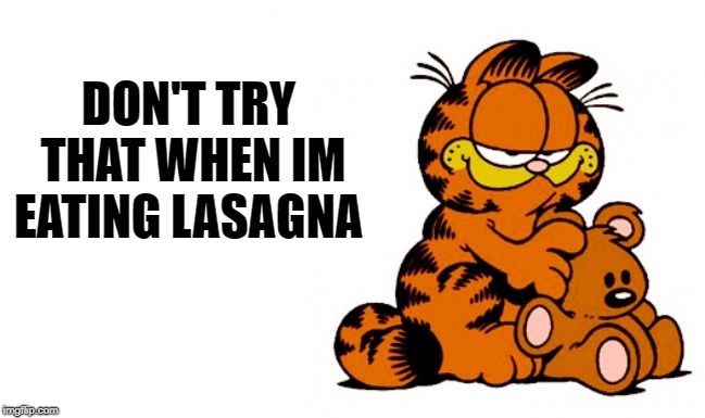garfield | DON'T TRY THAT WHEN IM EATING LASAGNA | image tagged in garfield | made w/ Imgflip meme maker