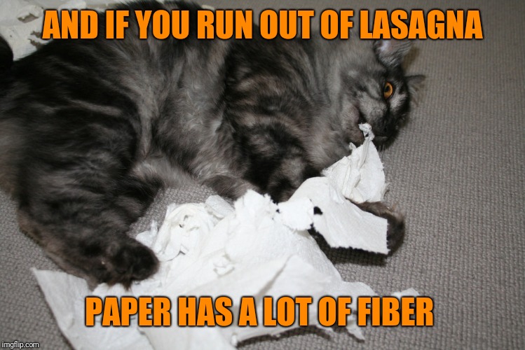 Cat Eating Paper | AND IF YOU RUN OUT OF LASAGNA PAPER HAS A LOT OF FIBER | image tagged in cat eating paper | made w/ Imgflip meme maker