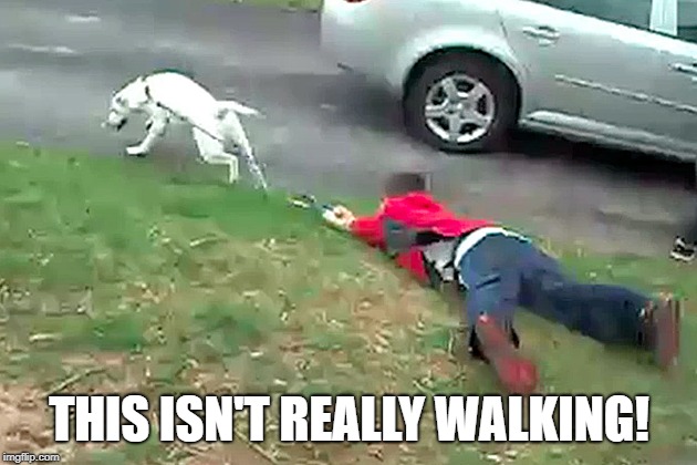 THIS ISN'T REALLY WALKING! | made w/ Imgflip meme maker