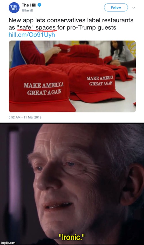 Conservative Safe Spaces | "Ironic." | image tagged in safe space,donald trump,palpatine ironic | made w/ Imgflip meme maker