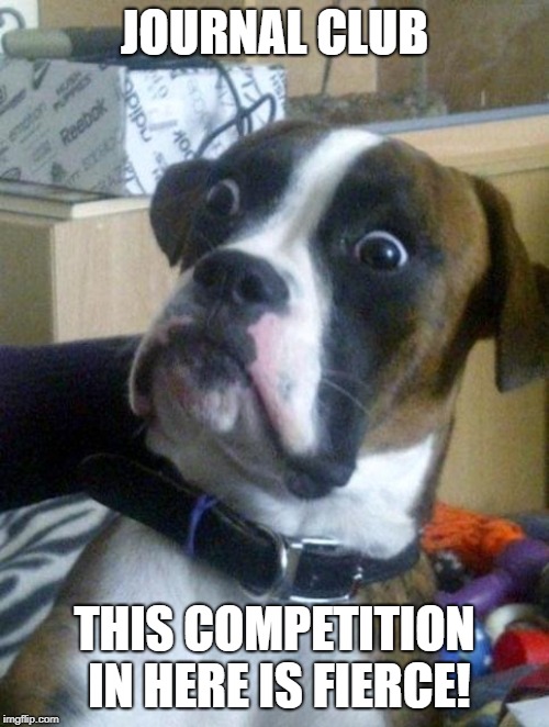 Suprised Boxer | JOURNAL CLUB; THIS COMPETITION IN HERE IS FIERCE! | image tagged in suprised boxer | made w/ Imgflip meme maker
