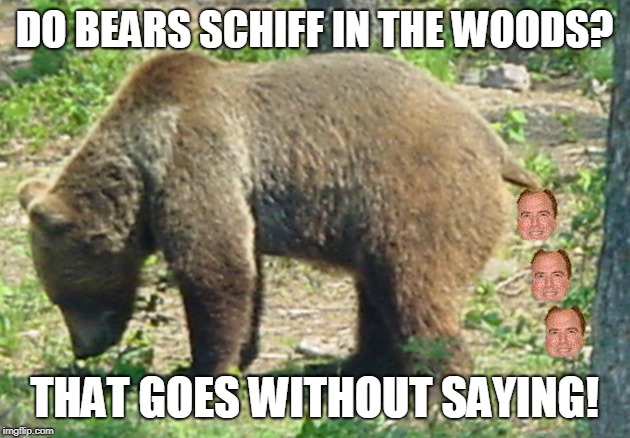 bears to schiff in the woods | DO BEARS SCHIFF IN THE WOODS? THAT GOES WITHOUT SAYING! | image tagged in politics,democrats schiffing on stuff,schiff  poop,schiff  s | made w/ Imgflip meme maker