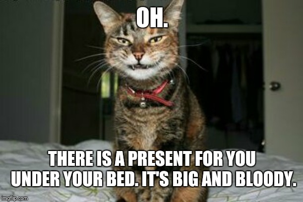 Evil Smile Cat | OH. THERE IS A PRESENT FOR YOU UNDER YOUR BED. IT'S BIG AND BLOODY. | image tagged in evil smile cat | made w/ Imgflip meme maker