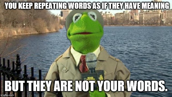 Kermit News Report | YOU KEEP REPEATING WORDS AS IF THEY HAVE MEANING BUT THEY ARE NOT YOUR WORDS. | image tagged in kermit news report | made w/ Imgflip meme maker