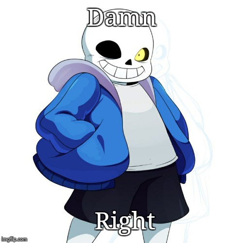 Sans Undertale | Damn Right | image tagged in sans undertale | made w/ Imgflip meme maker