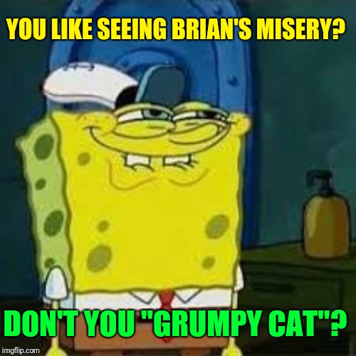 Spongebob smirk | YOU LIKE SEEING BRIAN'S MISERY? DON'T YOU "GRUMPY CAT"? | image tagged in spongebob smirk | made w/ Imgflip meme maker