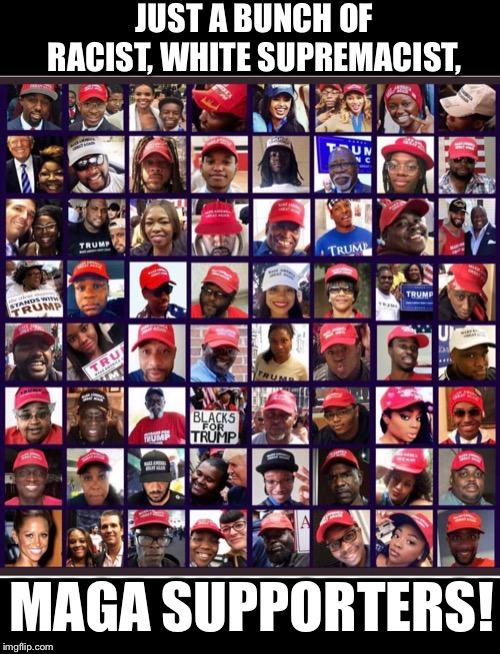 I wonder what Don Lemon would have to say about these racist Trump supporters?  Hmmmmm? | JUST A BUNCH OF RACIST, WHITE SUPREMACIST, MAGA SUPPORTERS! | image tagged in maga | made w/ Imgflip meme maker