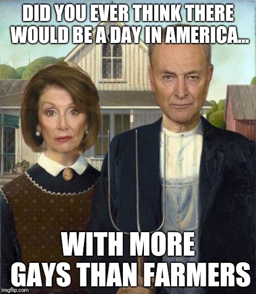 Statistically True | DID YOU EVER THINK THERE WOULD BE A DAY IN AMERICA... WITH MORE GAYS THAN FARMERS | image tagged in funny,meme,nancy pelosi,chuck schumer,gay,democrats | made w/ Imgflip meme maker