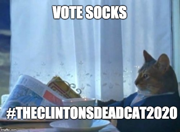 I Should Buy A Boat Cat Meme | VOTE SOCKS #THECLINTONSDEADCAT2020 | image tagged in memes,i should buy a boat cat | made w/ Imgflip meme maker