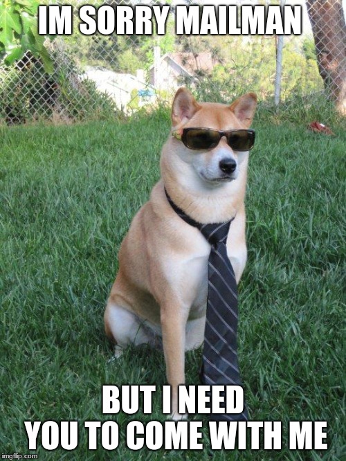Business doge | IM SORRY MAILMAN; BUT I NEED YOU TO COME WITH ME | image tagged in business doge | made w/ Imgflip meme maker