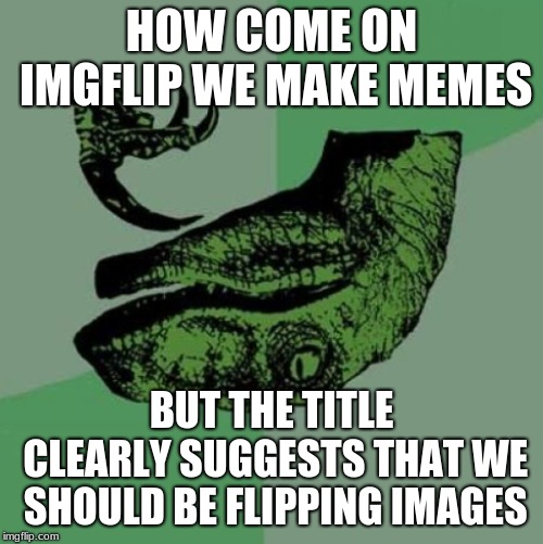 Philosoraptor | HOW COME ON IMGFLIP WE MAKE MEMES; BUT THE TITLE CLEARLY SUGGESTS THAT WE SHOULD BE FLIPPING IMAGES | image tagged in philosoraptor | made w/ Imgflip meme maker