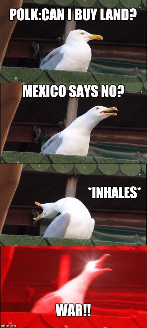 Inhaling Seagull Meme | POLK:CAN I BUY LAND? MEXICO SAYS NO? *INHALES*; WAR!! | image tagged in memes,inhaling seagull | made w/ Imgflip meme maker
