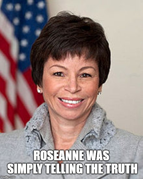 ROSEANNE WAS SIMPLY TELLING THE TRUTH | made w/ Imgflip meme maker