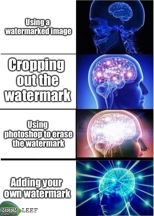 Expanding Brain | Using a watermarked image; Cropping out the watermark; Using photoshop to erase the watermark; Adding your own watermark; MEEM LEEF | image tagged in memes,expanding brain | made w/ Imgflip meme maker