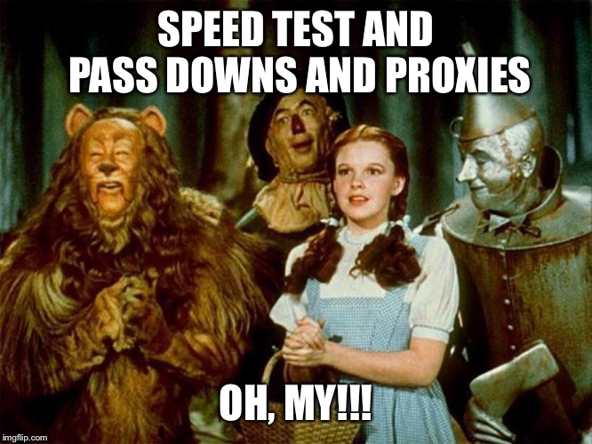 Wizard of oz | SPEED TEST AND PASS DOWNS AND PROXIES; OH, MY!!! | image tagged in wizard of oz | made w/ Imgflip meme maker