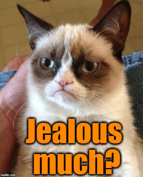 Grumpy Cat Meme | Jealous much? | image tagged in memes,grumpy cat | made w/ Imgflip meme maker