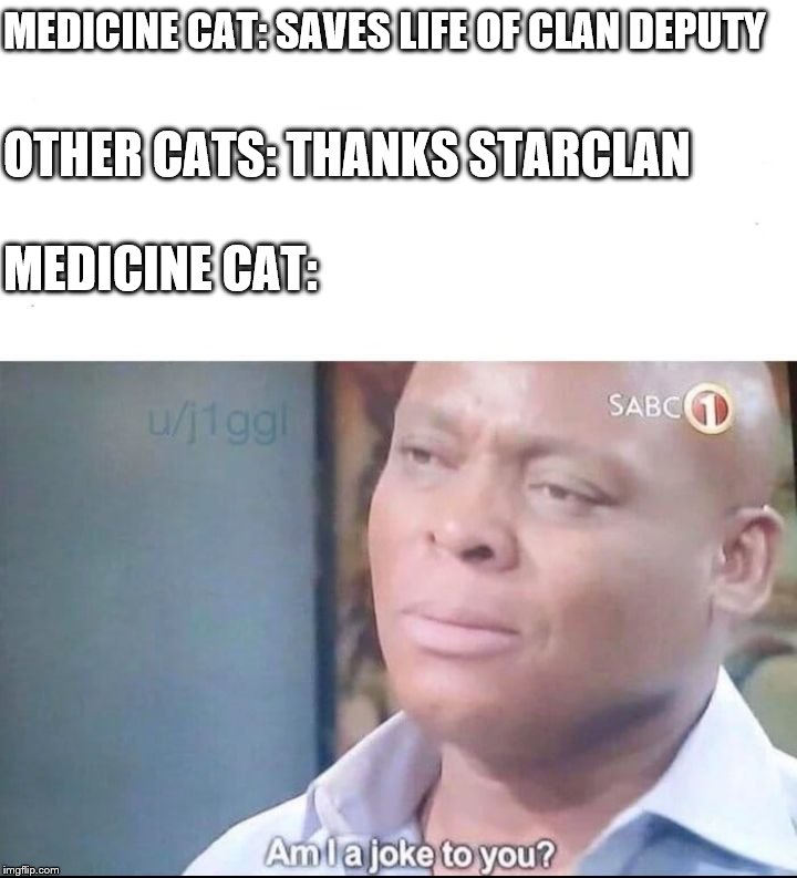 am I a joke to you | MEDICINE CAT: SAVES LIFE OF CLAN DEPUTY; OTHER CATS: THANKS STARCLAN; MEDICINE CAT: | image tagged in am i a joke to you | made w/ Imgflip meme maker