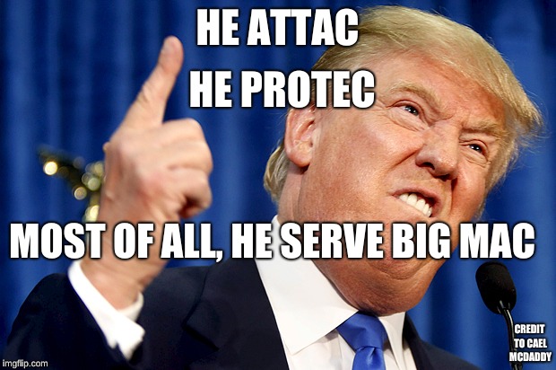 Donald Trump | HE ATTAC; HE PROTEC; MOST OF ALL, HE SERVE BIG MAC; CREDIT TO CAEL MCDADDY | image tagged in donald trump | made w/ Imgflip meme maker