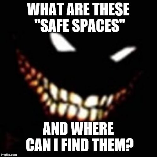 WHAT ARE THESE "SAFE SPACES" AND WHERE CAN I FIND THEM? | made w/ Imgflip meme maker