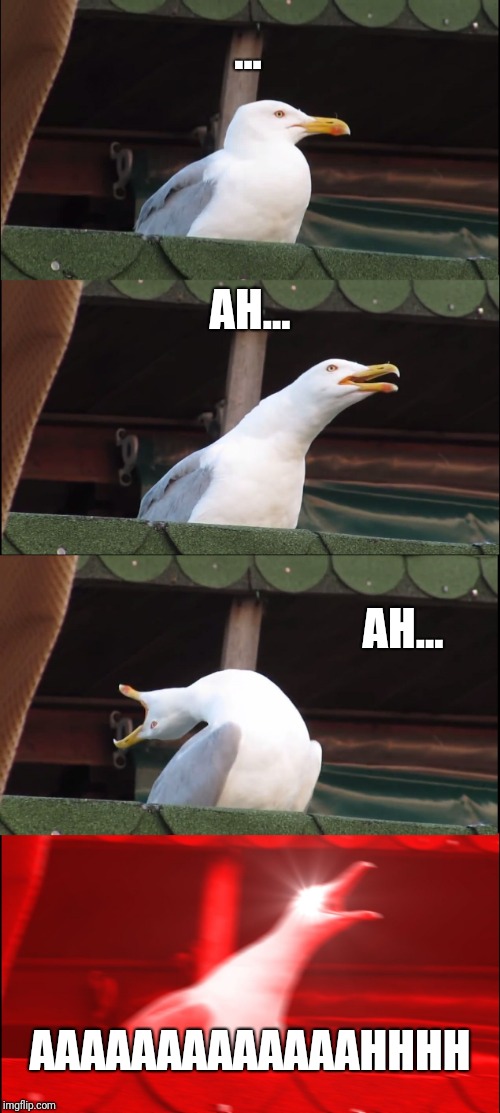 Inhaling Seagull | ... AH... AH... AAAAAAAAAAAAAHHHH | image tagged in memes,inhaling seagull | made w/ Imgflip meme maker