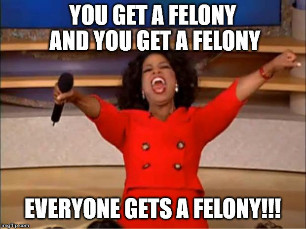 Oprah You Get A Meme | YOU GET A FELONY AND YOU GET A FELONY; EVERYONE GETS A FELONY!!! | image tagged in memes,oprah you get a | made w/ Imgflip meme maker