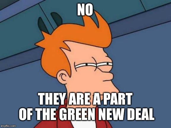 Futurama Fry Meme | NO THEY ARE A PART OF THE GREEN NEW DEAL | image tagged in memes,futurama fry | made w/ Imgflip meme maker