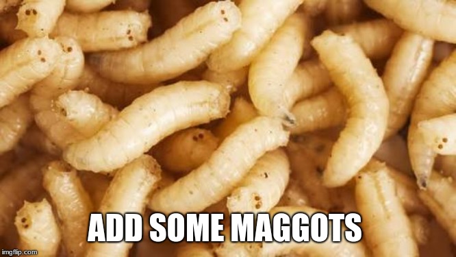 Maggots | ADD SOME MAGGOTS | image tagged in maggots | made w/ Imgflip meme maker