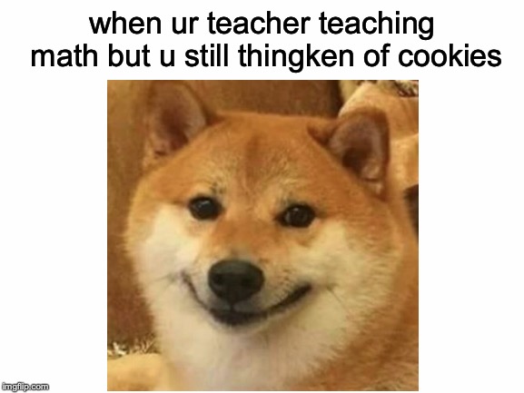 Thingken of cookies... | when ur teacher teaching math but u still thingken of cookies | image tagged in memes,funny,dank memes,dogs,doggo week,shiba inu | made w/ Imgflip meme maker