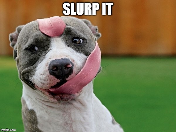Dog tongue | SLURP IT | image tagged in dog tongue | made w/ Imgflip meme maker