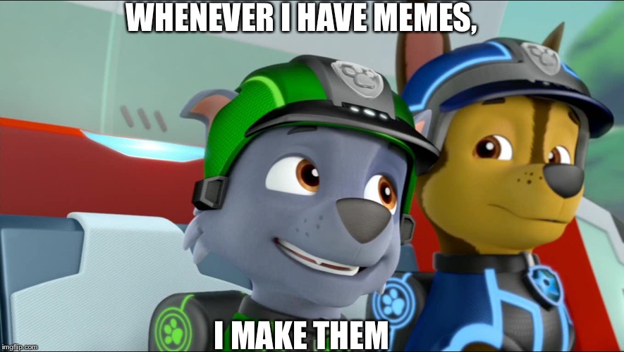 WHENEVER I HAVE MEMES, I MAKE THEM | image tagged in paw patrol | made w/ Imgflip meme maker