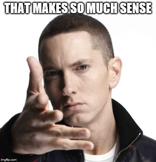 Eminem video game logic | THAT MAKES SO MUCH SENSE | image tagged in eminem video game logic | made w/ Imgflip meme maker