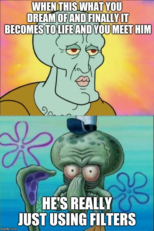 Squidward Meme | WHEN THIS WHAT YOU DREAM OF AND FINALLY IT BECOMES TO LIFE AND YOU MEET HIM; HE'S REALLY JUST USING FILTERS | image tagged in memes,squidward | made w/ Imgflip meme maker