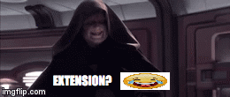 EXTENSION? | image tagged in gifs | made w/ Imgflip video-to-gif maker