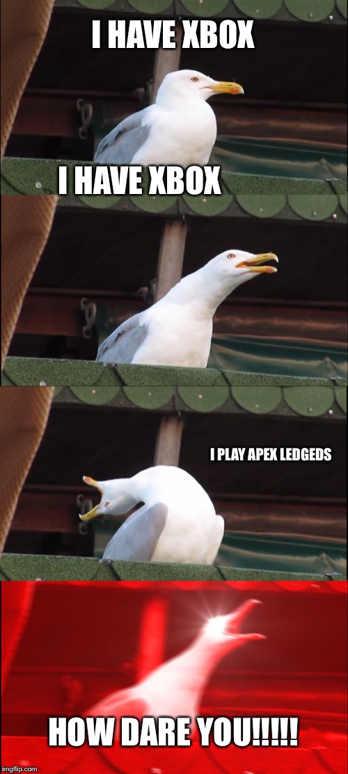 Inhaling Seagull Meme | I HAVE XBOX; I HAVE XBOX; I PLAY APEX LEDGEDS; HOW DARE YOU!!!!! | image tagged in memes,inhaling seagull | made w/ Imgflip meme maker