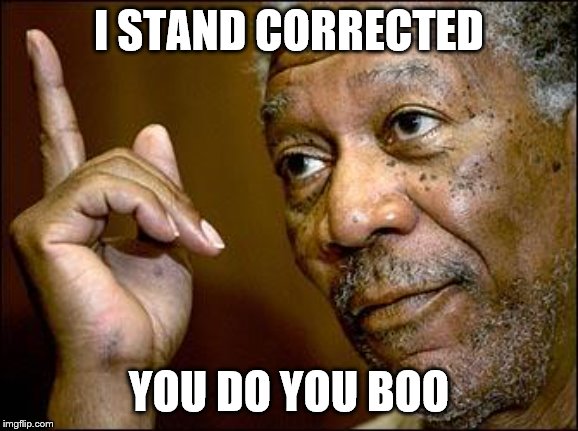 This Morgan Freeman | I STAND CORRECTED YOU DO YOU BOO | image tagged in this morgan freeman | made w/ Imgflip meme maker