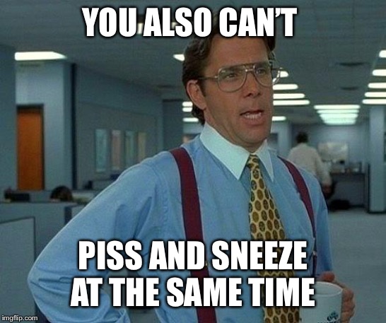 That Would Be Great Meme | YOU ALSO CAN’T PISS AND SNEEZE AT THE SAME TIME | image tagged in memes,that would be great | made w/ Imgflip meme maker