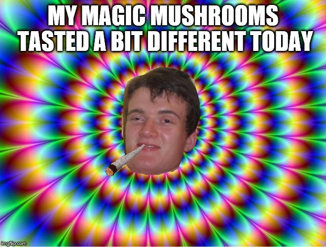 MY MAGIC MUSHROOMS TASTED A BIT DIFFERENT TODAY | made w/ Imgflip meme maker