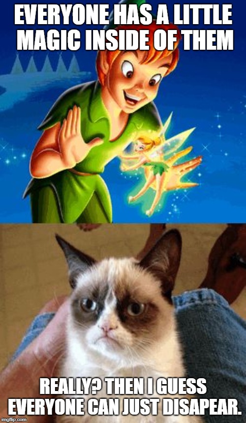 Grumpy Cat Does Not Believe |  EVERYONE HAS A LITTLE MAGIC INSIDE OF THEM; REALLY? THEN I GUESS EVERYONE CAN JUST DISAPEAR. | image tagged in memes,grumpy cat does not believe,grumpy cat | made w/ Imgflip meme maker