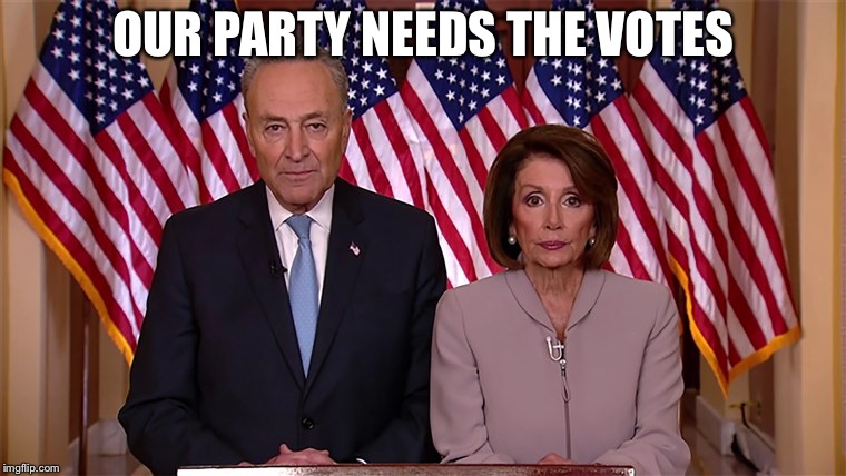 Pelosi and Schumer | OUR PARTY NEEDS THE VOTES | image tagged in pelosi and schumer | made w/ Imgflip meme maker