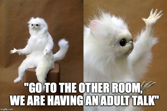 Persian Cat Room Guardian Meme | "GO TO THE OTHER ROOM, WE ARE HAVING AN ADULT TALK" | image tagged in memes,persian cat room guardian | made w/ Imgflip meme maker